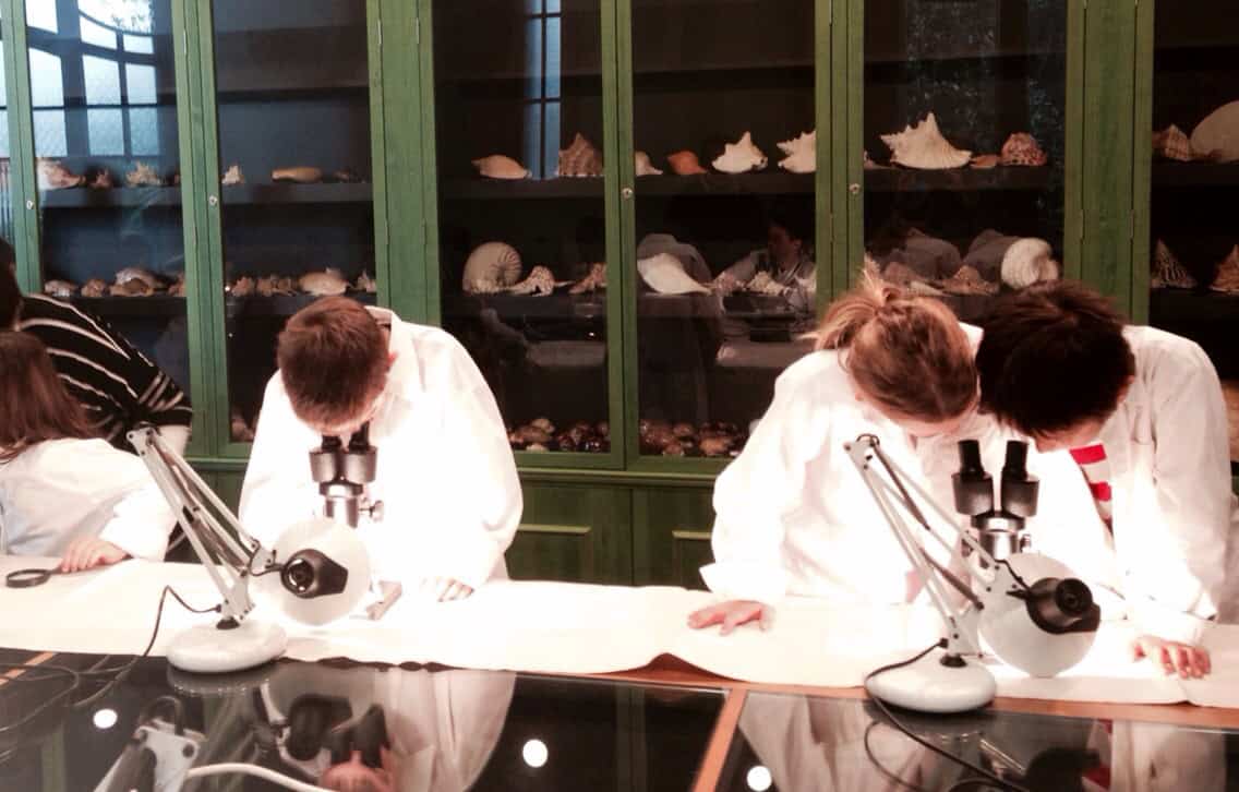 Nens miren pels microscopis